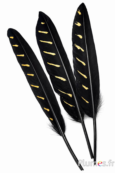 Gans goldene Glitzerlinien - 12-15 cm - schwarz